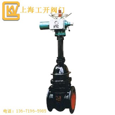 閘閥  電動(dòng)楔式閘閥